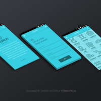 Zodi App flow 