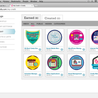 Credly Badges earned from completing VA Bootcamp modules.