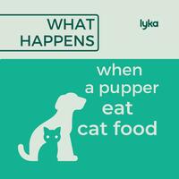 Portfolio Thumbnail 24