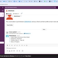 SLACK PROFILE