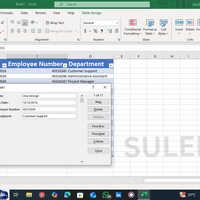 Built a data entry form in excel to validate details