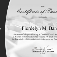 My Facebook Ad Certificate
