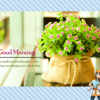 Creating social media posts using Canva