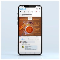 Social media advertisement