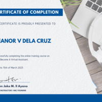 Virtual Assistant Cert