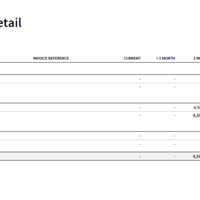 Aged Receivables Detail Report in Xero