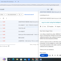 EMAIL DELEGATION