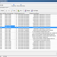 Accounts Payable