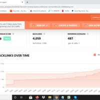 SEO Management