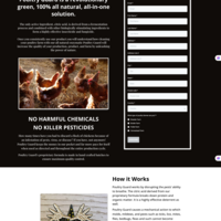 Aesthetic Black and white landing page