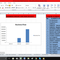 Reddy projects annual report & business analysis