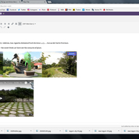 WordPress Managemnt01
