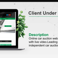 Online car auction web service