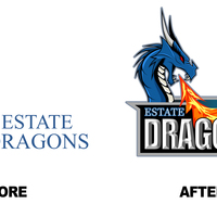 Upgrading of team logo 