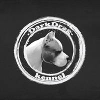 Amstaff Kennel Logo Design