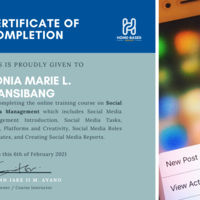  Certificate 3