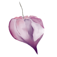 Flower Digital Illustration