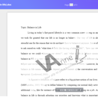 Essay writing sample 