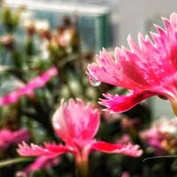 Portfolio Thumbnail 7