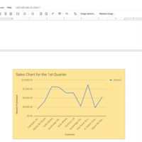 Google Docs using pie,graph and charts