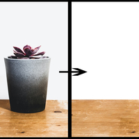 Object Removal