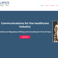 Website for Consulting Firm