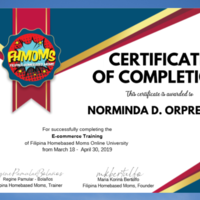 E-Commerce Training Certificate