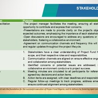 Stakeholder Mgt