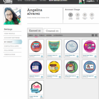 My Badges 