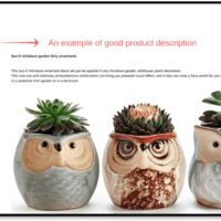 Amazon Product Description | Amazon Contents