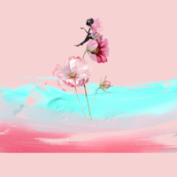 Portfolio Thumbnail 2