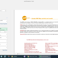 PDF to Excel