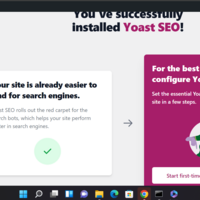 Wordpress development & plugins