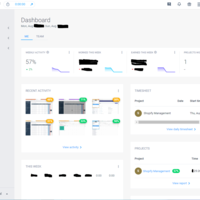 Shopify Management