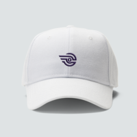 Cap Financial  Branding