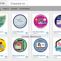 Badges on completing VA skills training