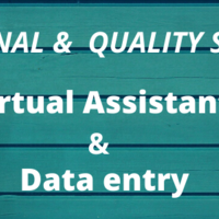 I will do Virtual Assistant and Data Entry Jobs