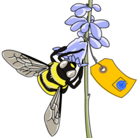 Freelance bee illustration for their products. 