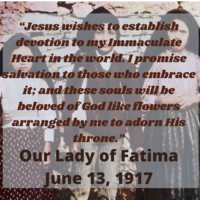 Portfolio Thumbnail 11