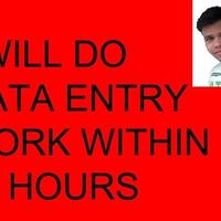 Data Entry 
