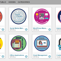 Credly Credit Badge