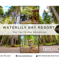 Portfolio Thumbnail 18