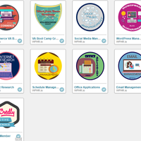 Individual Badges Earned