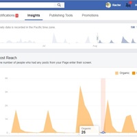 facebook page insights