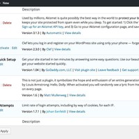Wordpress Website Building - Updating & Installing Plugins