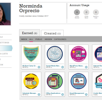 Credly Learning Badges 