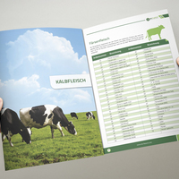 Brochure layout