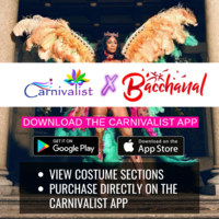 Social media promitional ad for Carnivalst.