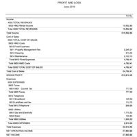 QuickBooks Online P and L