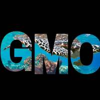 Portfolio Thumbnail 17